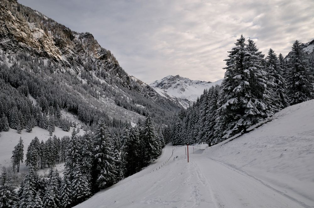 Blick ins Valünatal (II)