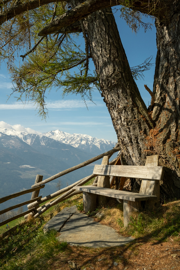 Blick ins Vinschgau