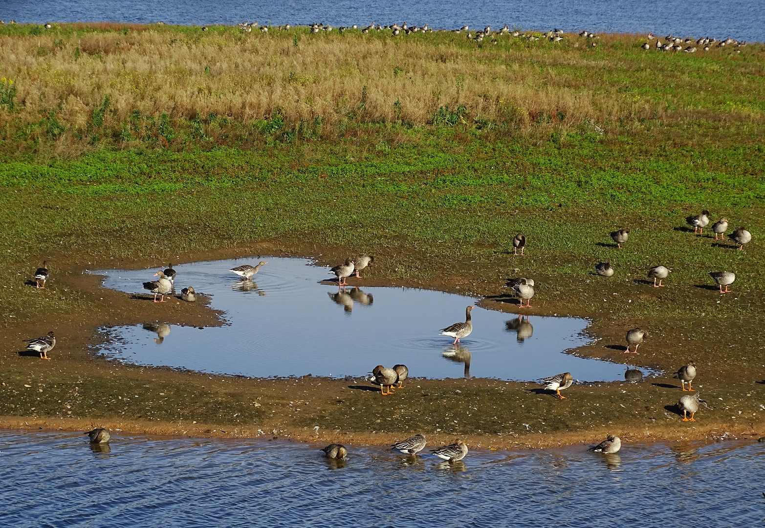 Blick ins Vogelparadies