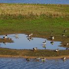 Blick ins Vogelparadies