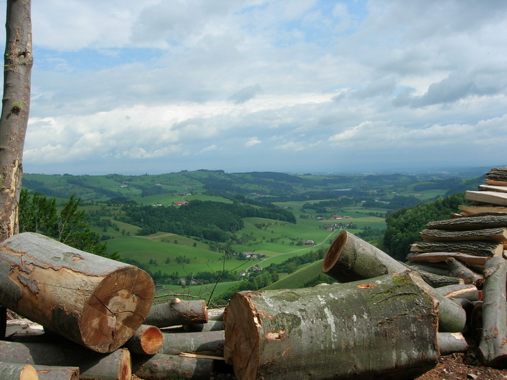 Blick ins Voralpenland