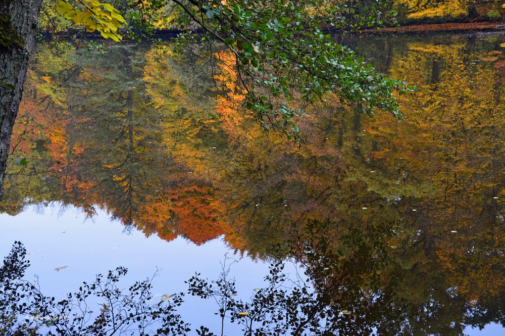 Blick ins Wasser