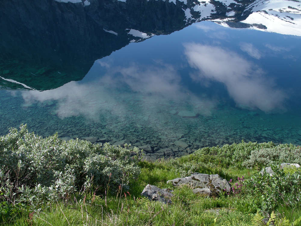 Blick ins Wasser