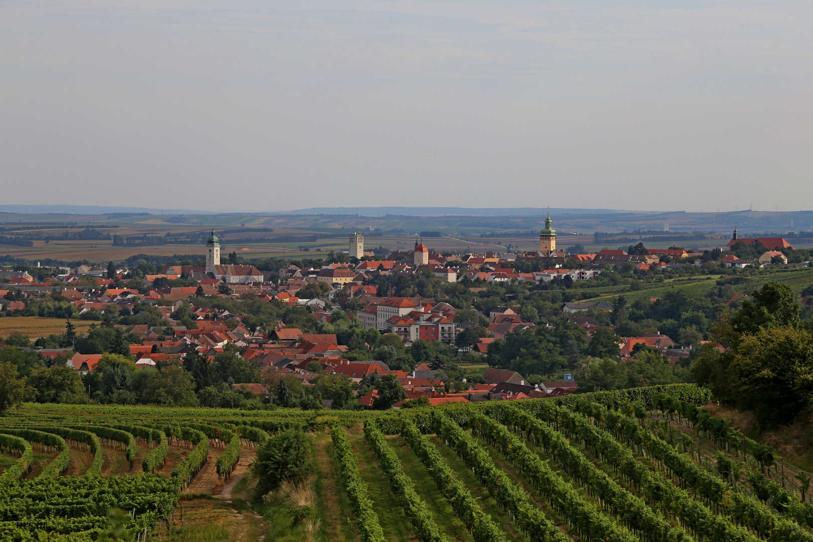 Blick ins Weinviertel