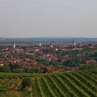 Blick ins Weinviertel