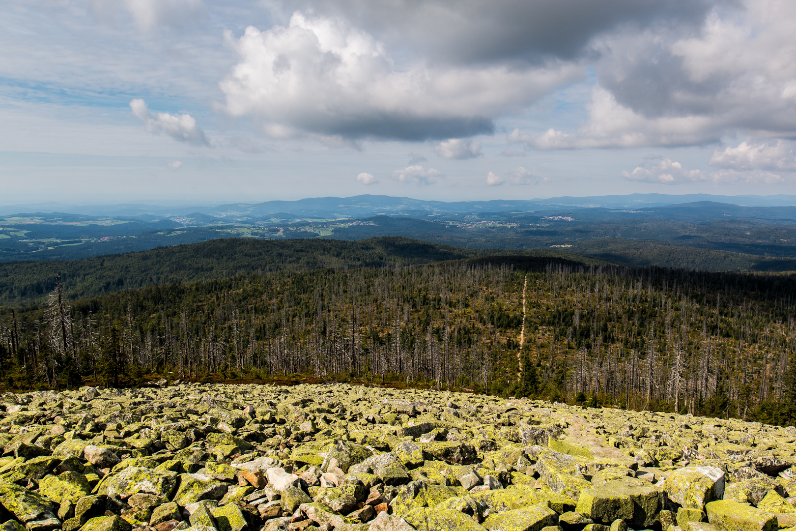 Blick ins Weite