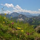 Blick ins Wetterstein