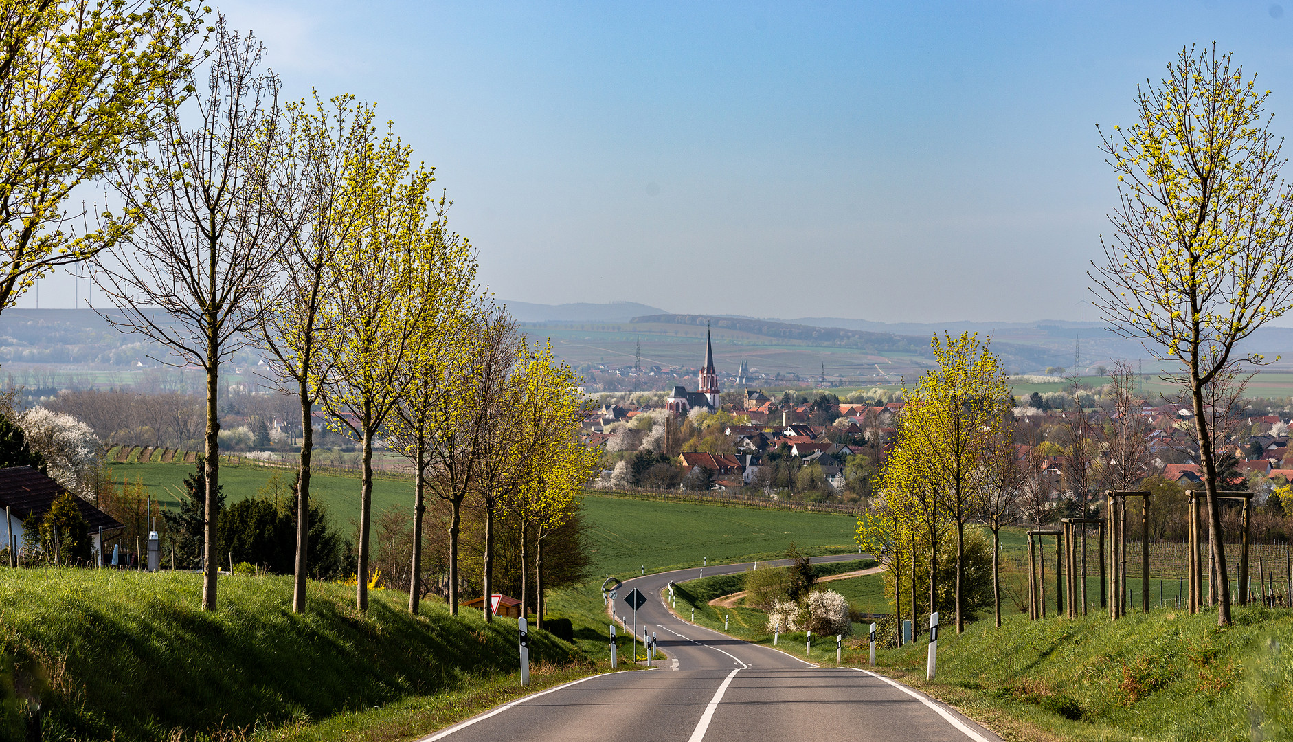 Blick ins Wiesbachtal