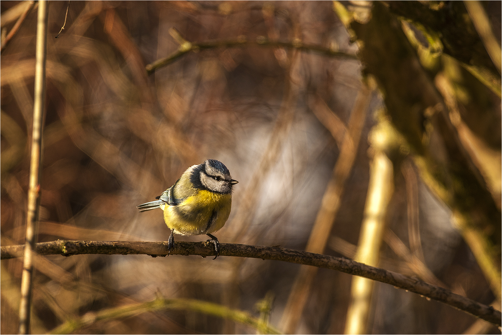 … Blick ins Wohnzimmer …