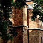 Blick Kirche durch mächtige Linden-Blüten-Bäume (Familienplatz) Wien Ottakring