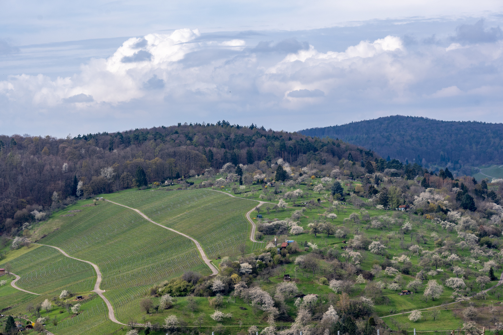 Blick Landgut Burg auf die Obstgärten