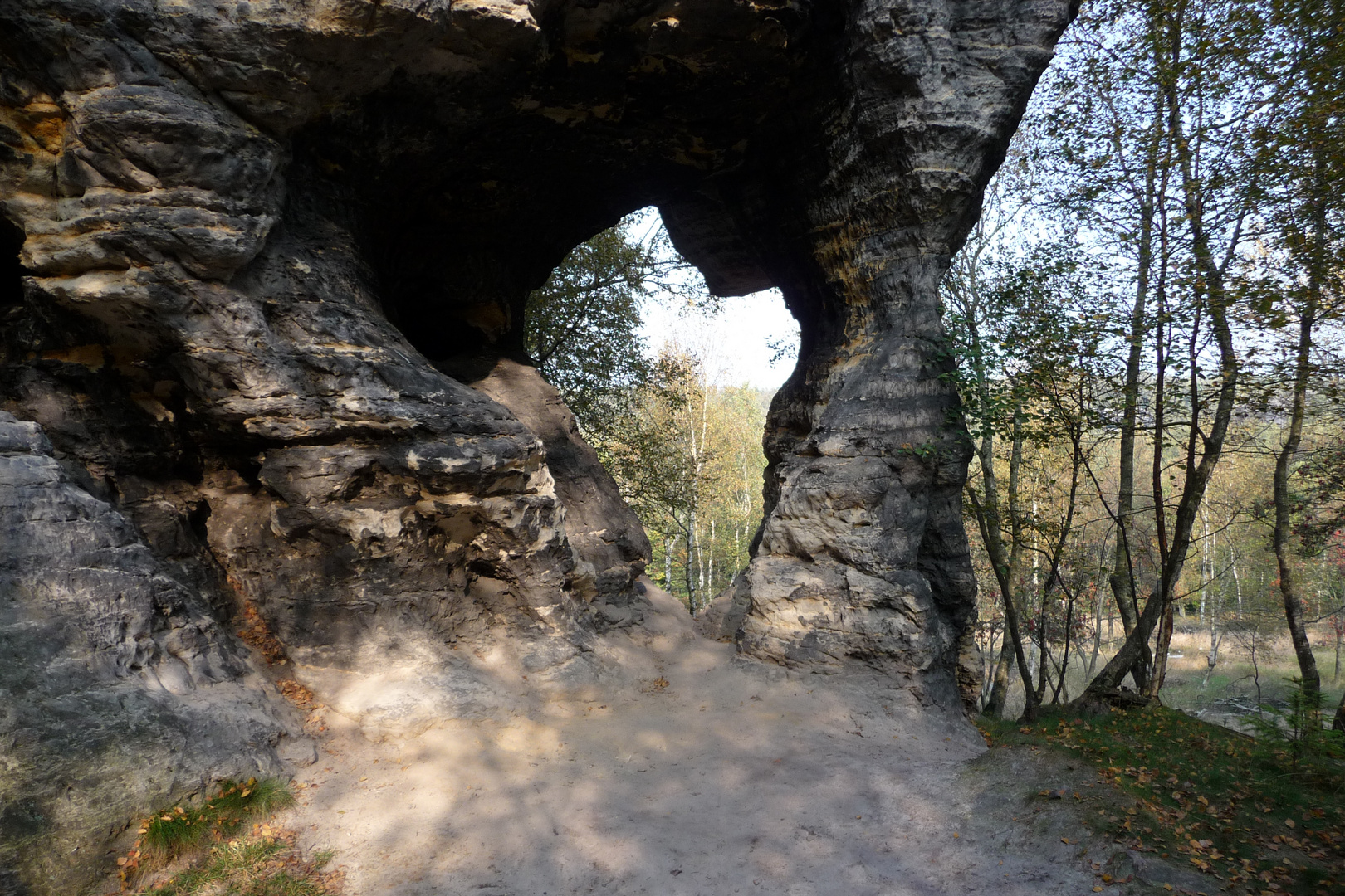 Blick nach Afrika ?