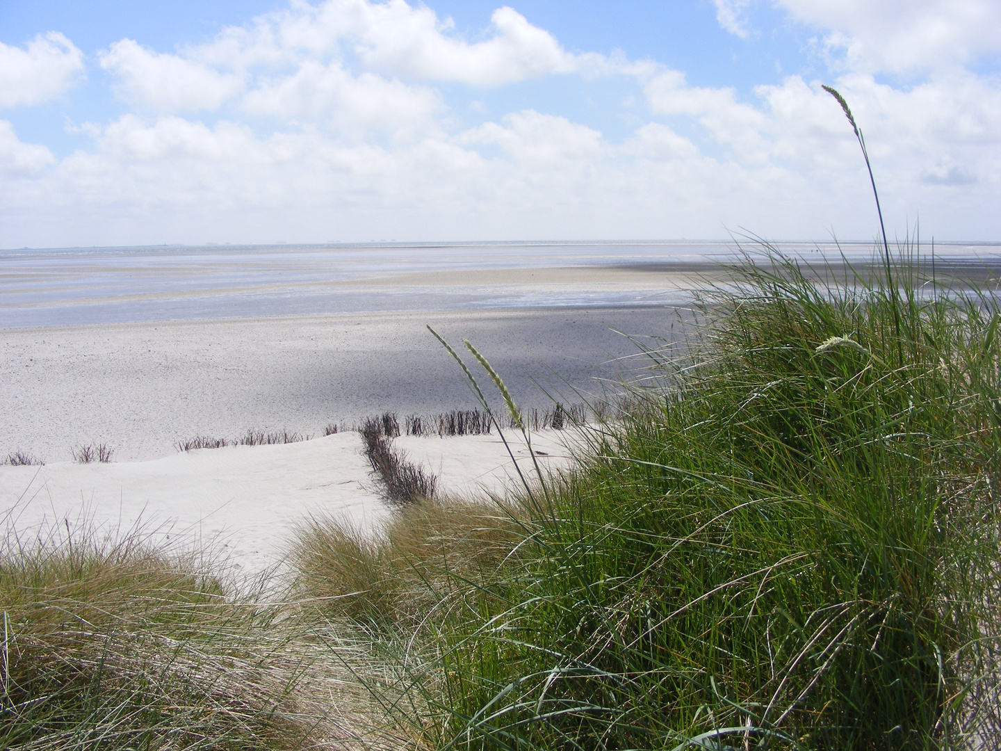 Blick nach Amrum