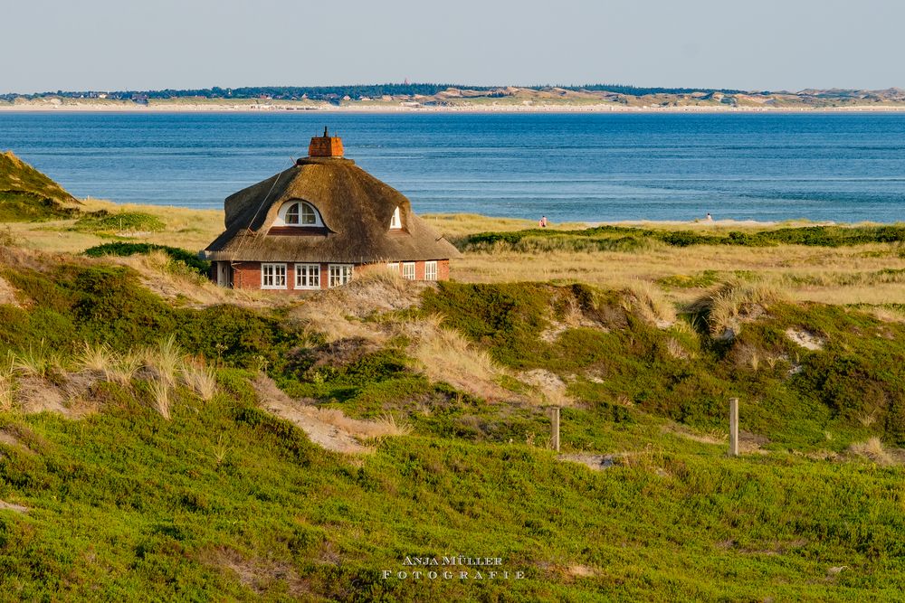 Blick nach Amrum