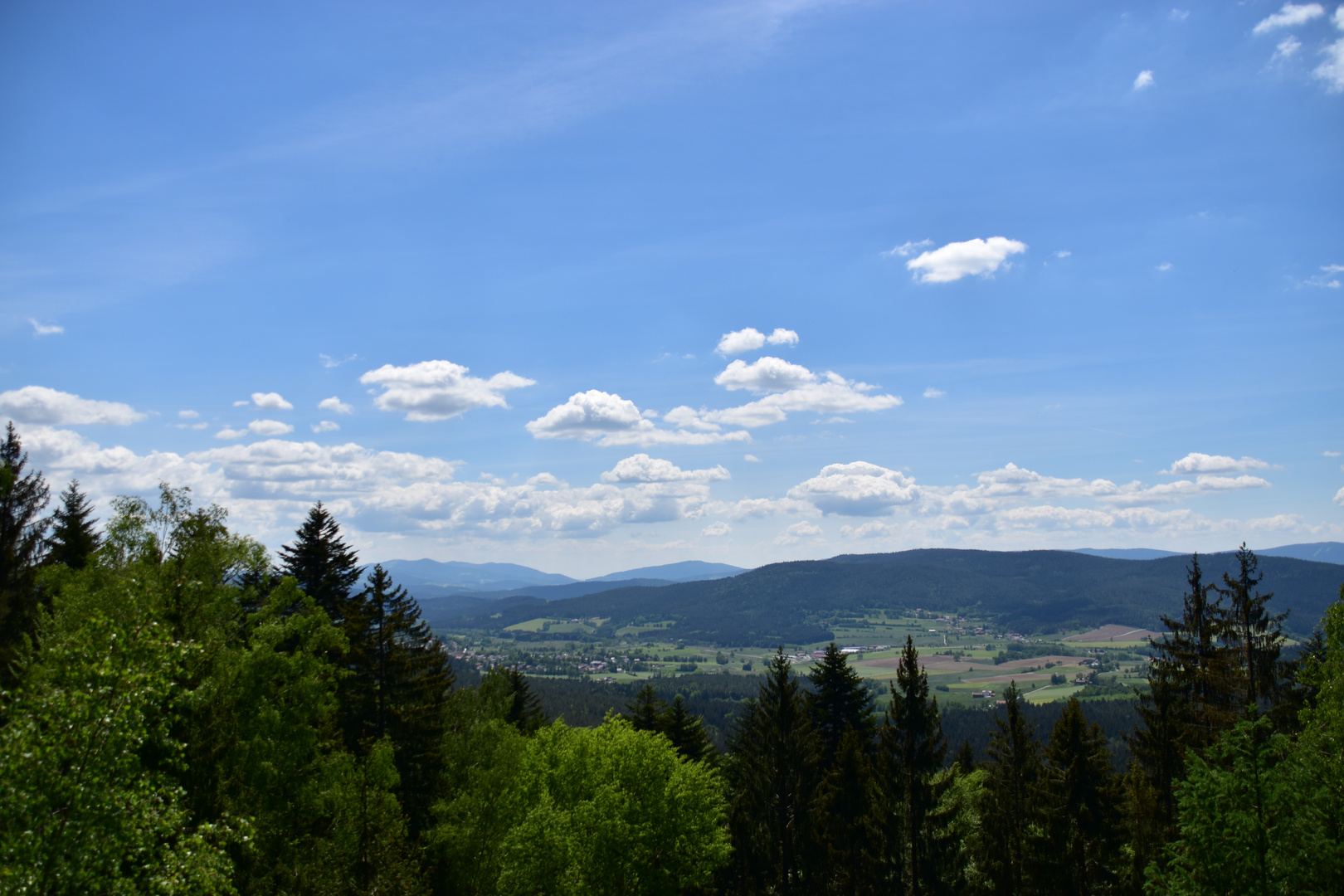 Blick nach Arnbruck