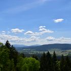 Blick nach Arnbruck