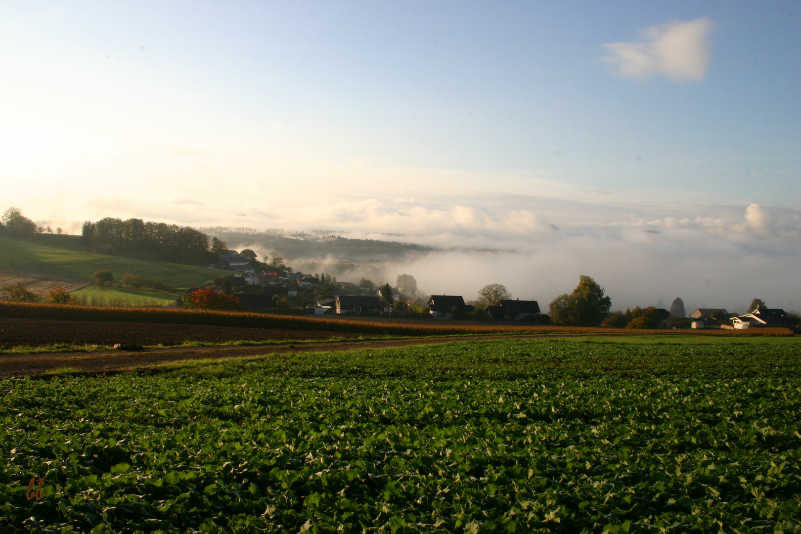 Blick nach Auenstein