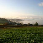 Blick nach Auenstein