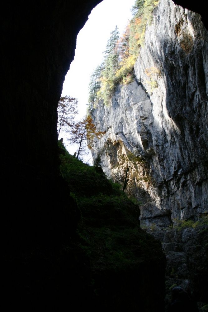 Blick nach außen