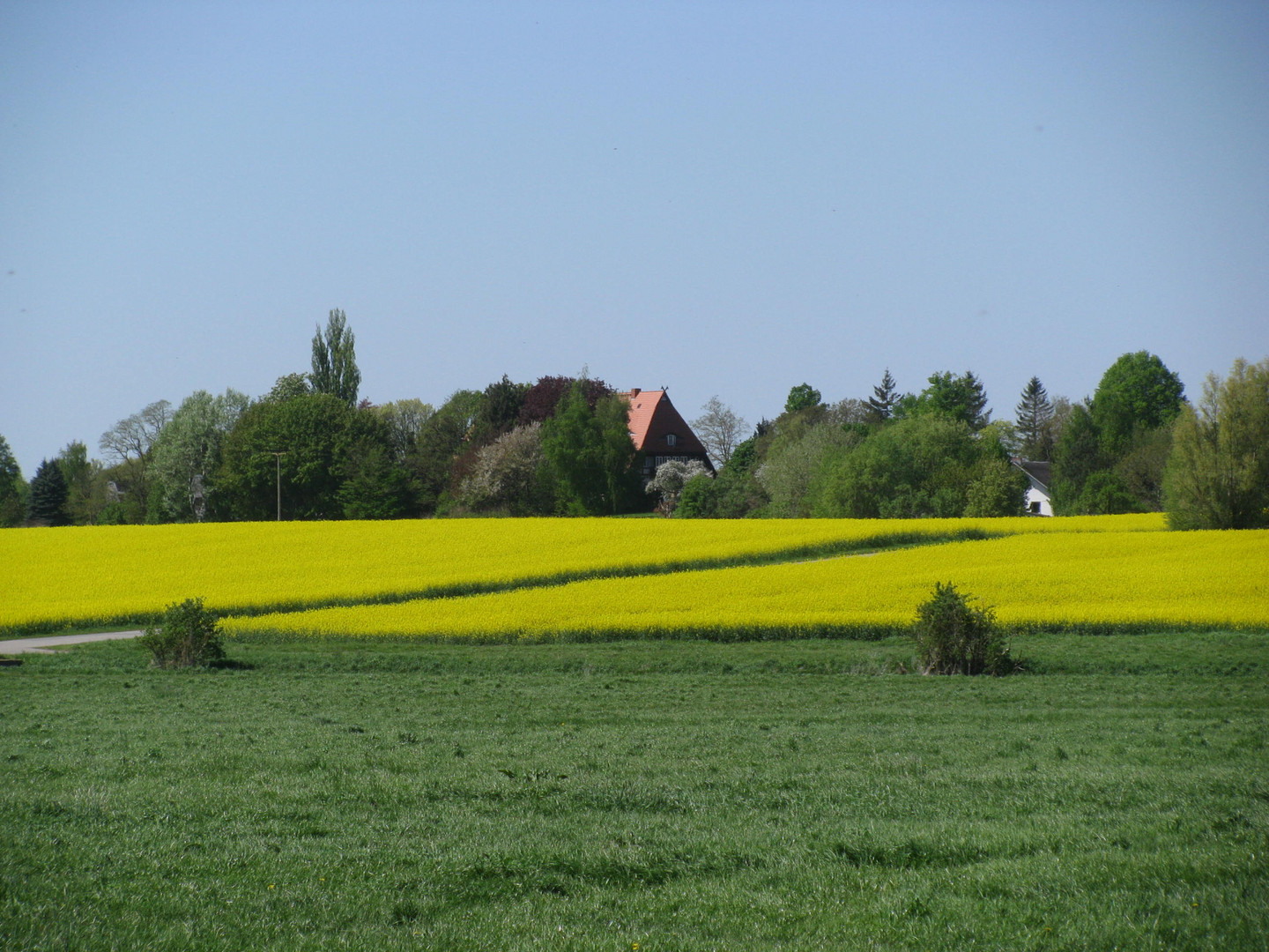 Blick nach Beckerwitz-Ausbau