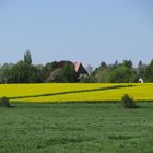 Blick nach Beckerwitz-Ausbau