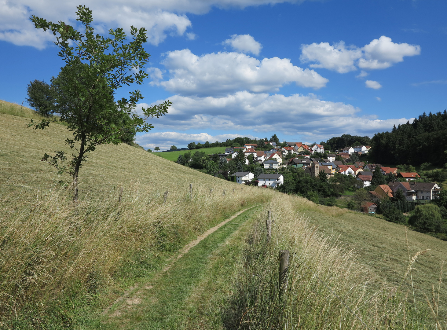 Blick nach Buchklingen