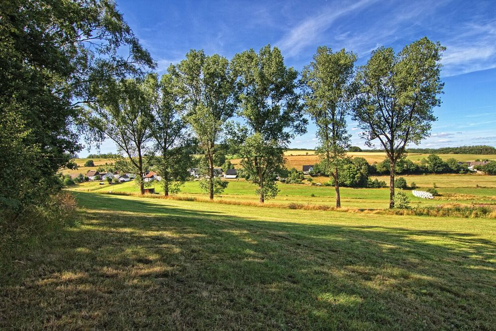 Blick nach Bühren