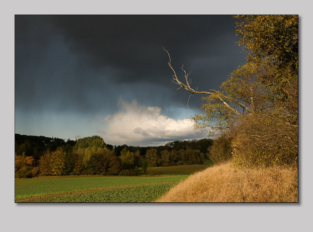 Blick nach Burg Schlitz