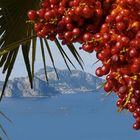 Blick nach Capri 1