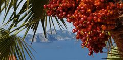 Blick nach Capri 1