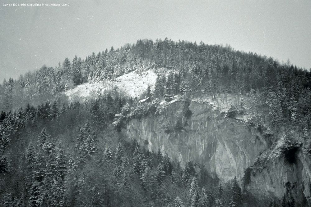 Blick nach Draußen I