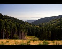 Blick nach drüben