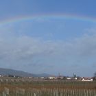 Blick nach Edenkoben mit Hambacher Schloss im Hintergrund