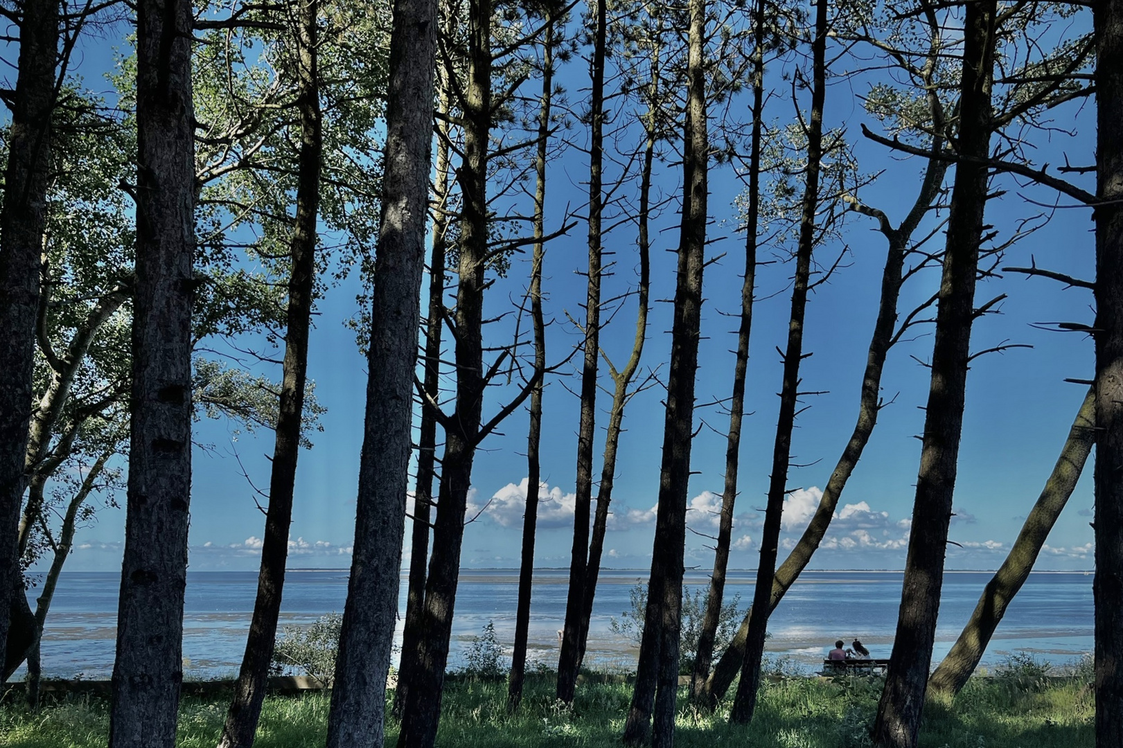 Blick nach Föhr bei ablaufendem Wasser