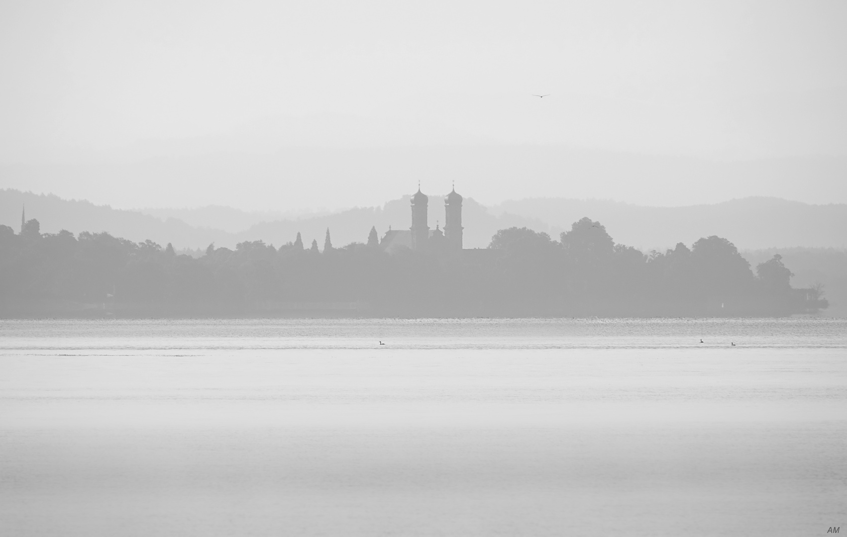 Blick nach Friedrichshafen im Nebel...