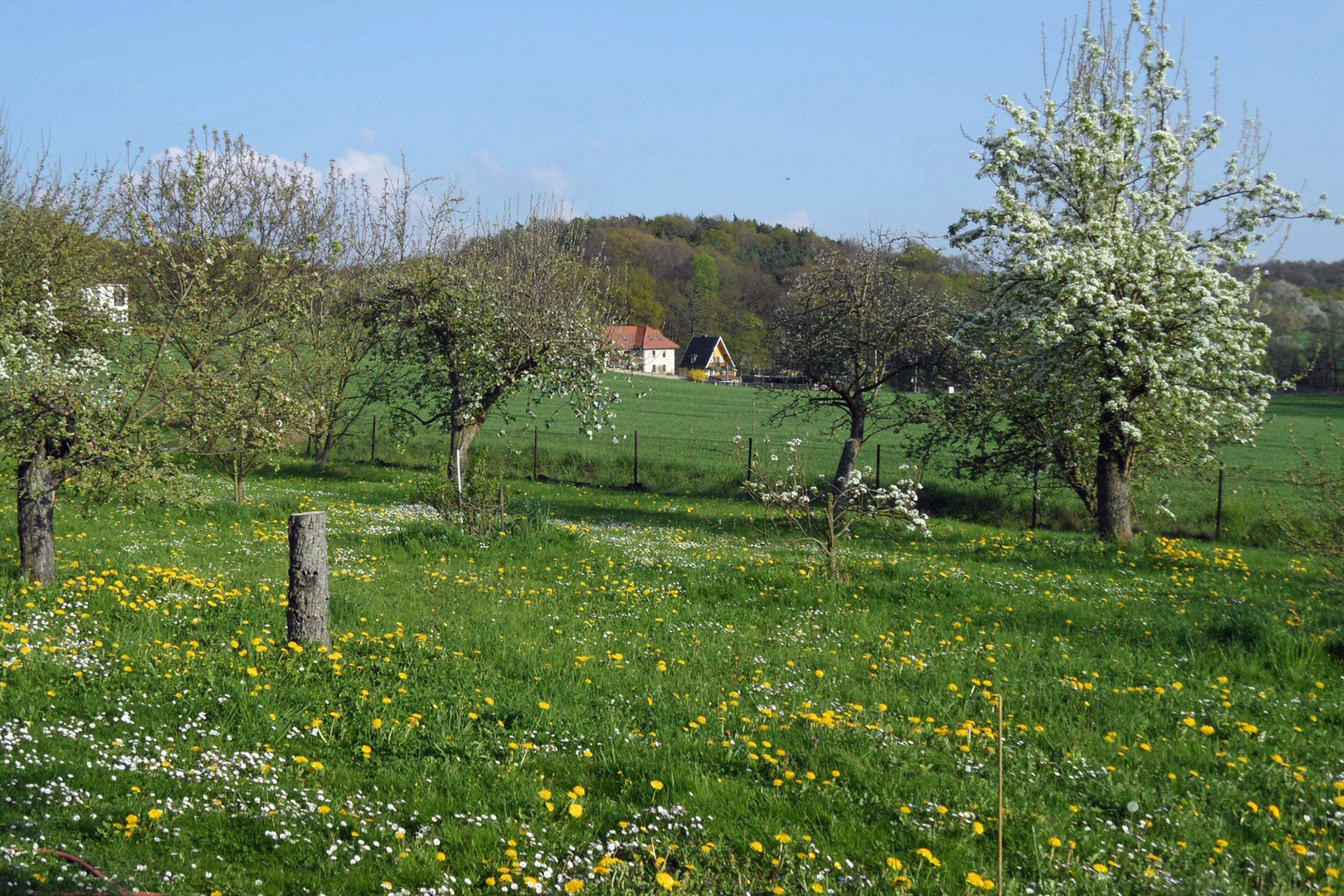 Blick nach Gohlis