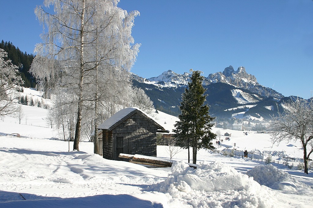 Blick nach Grän (Tannheimertal)