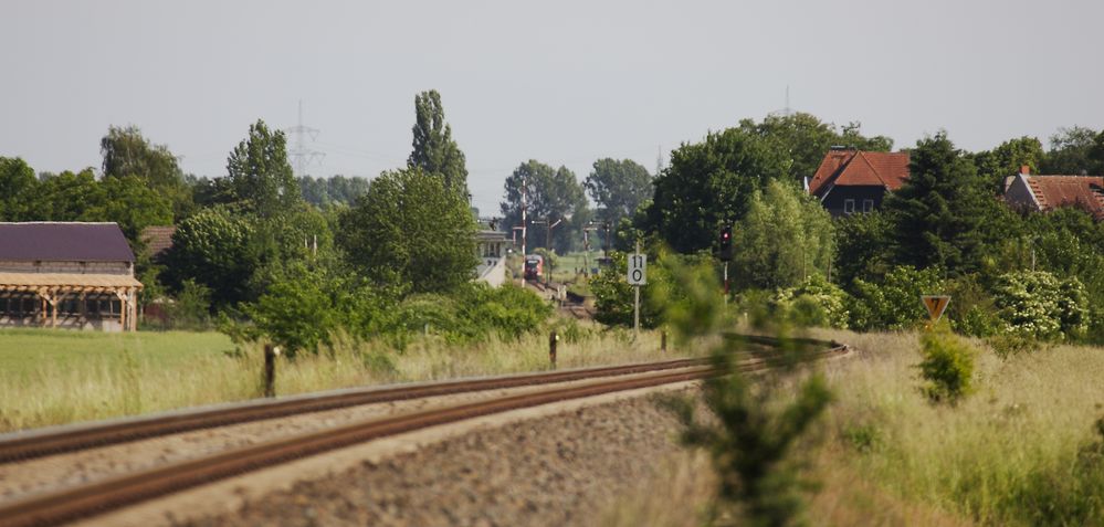 Blick nach Groß Ammensleben