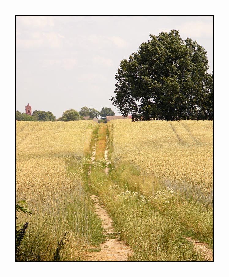 Blick nach Hasenfelde