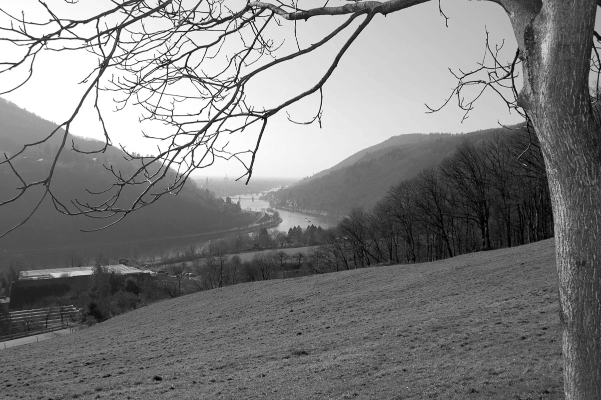 Blick nach Heidelberg