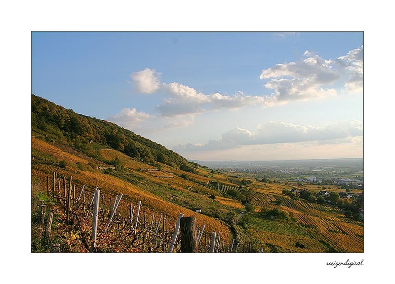 Blick nach Heidelberg