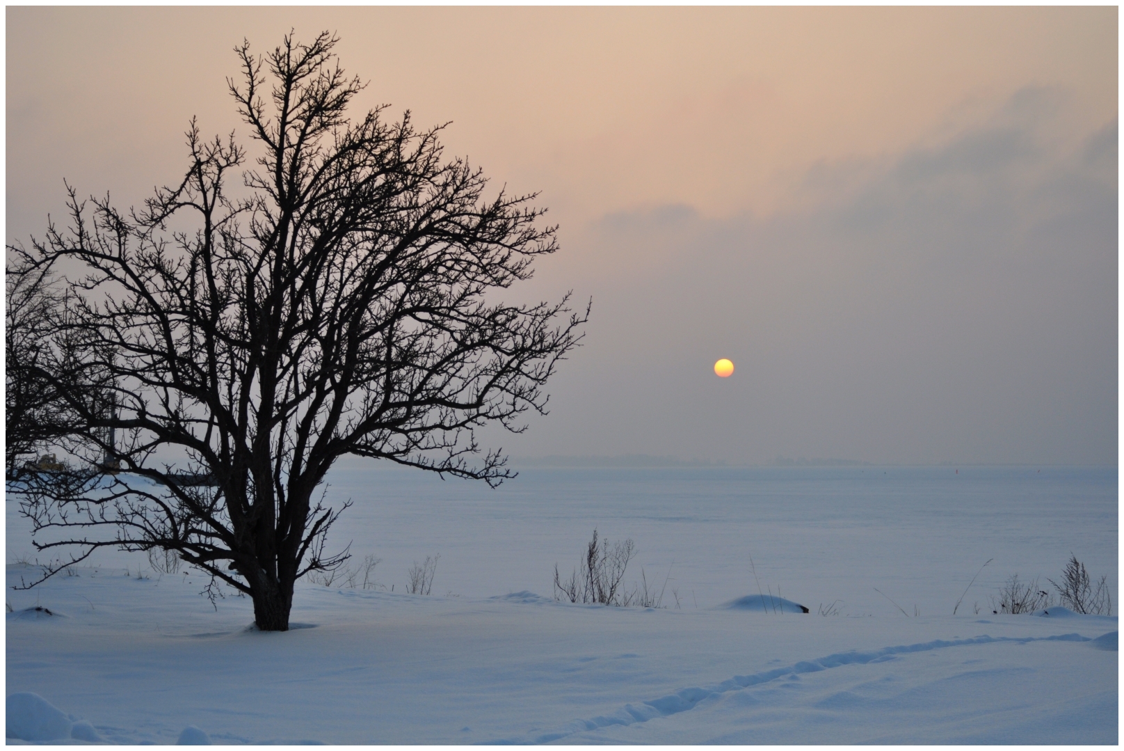 Blick nach Hiddensee