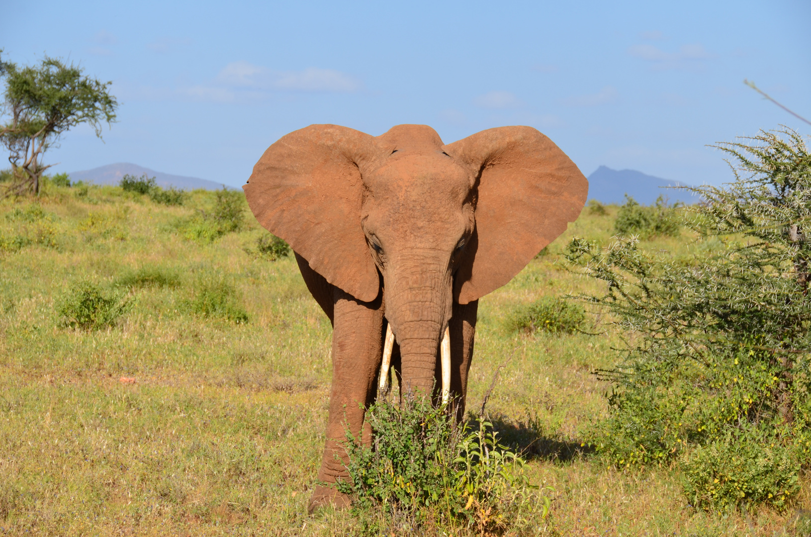 Blick nach Kenia