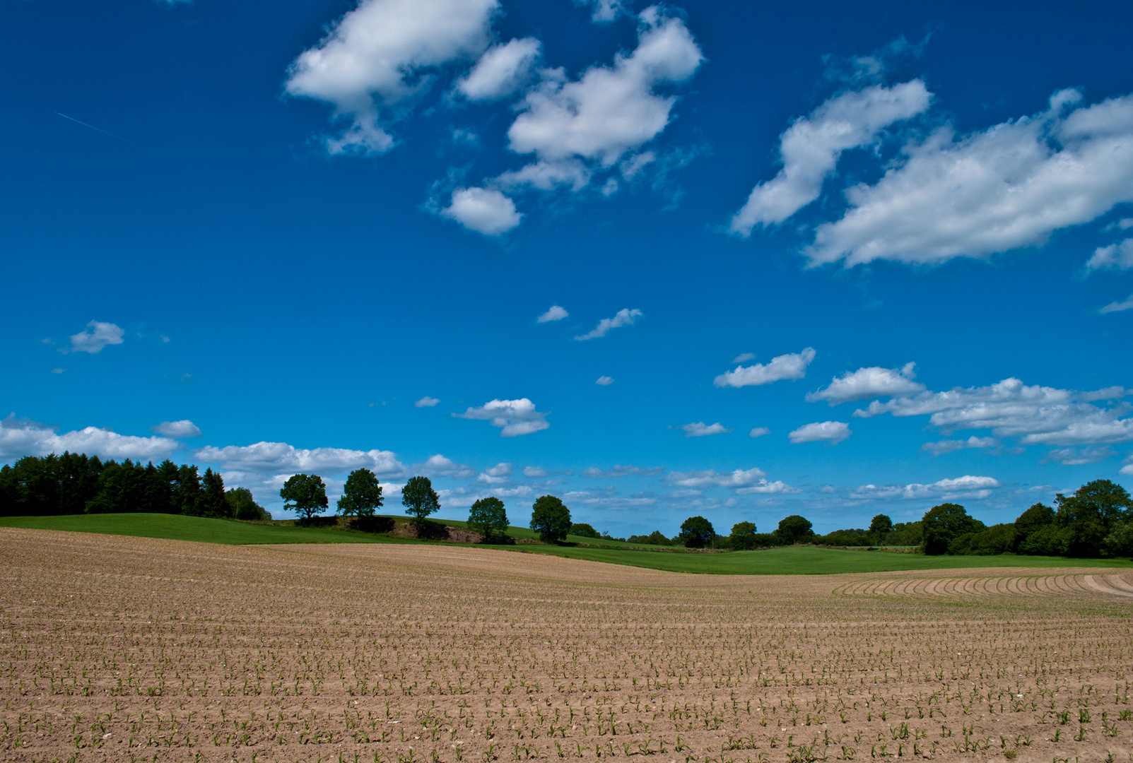 Blick nach Kiel