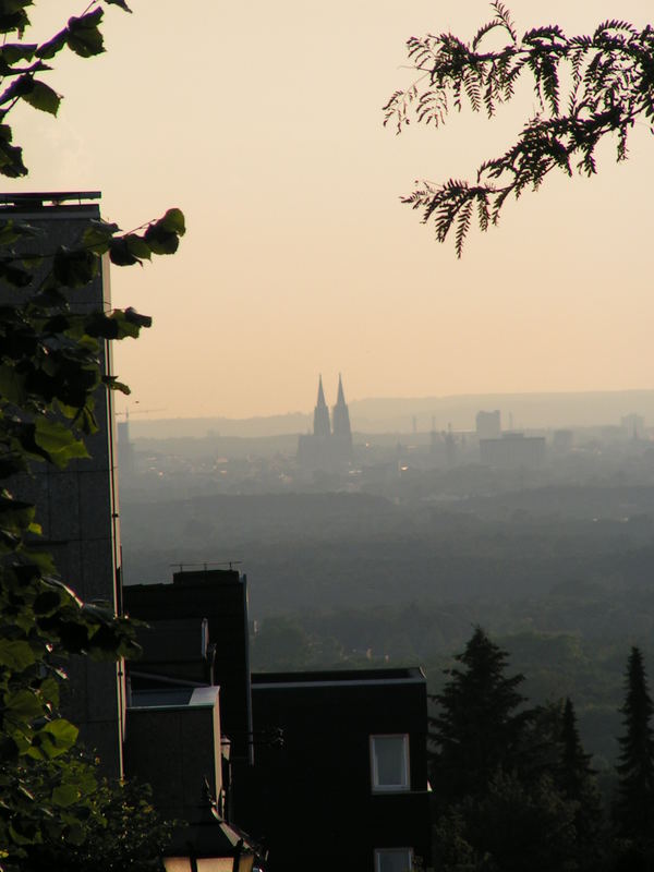 Blick nach Köln