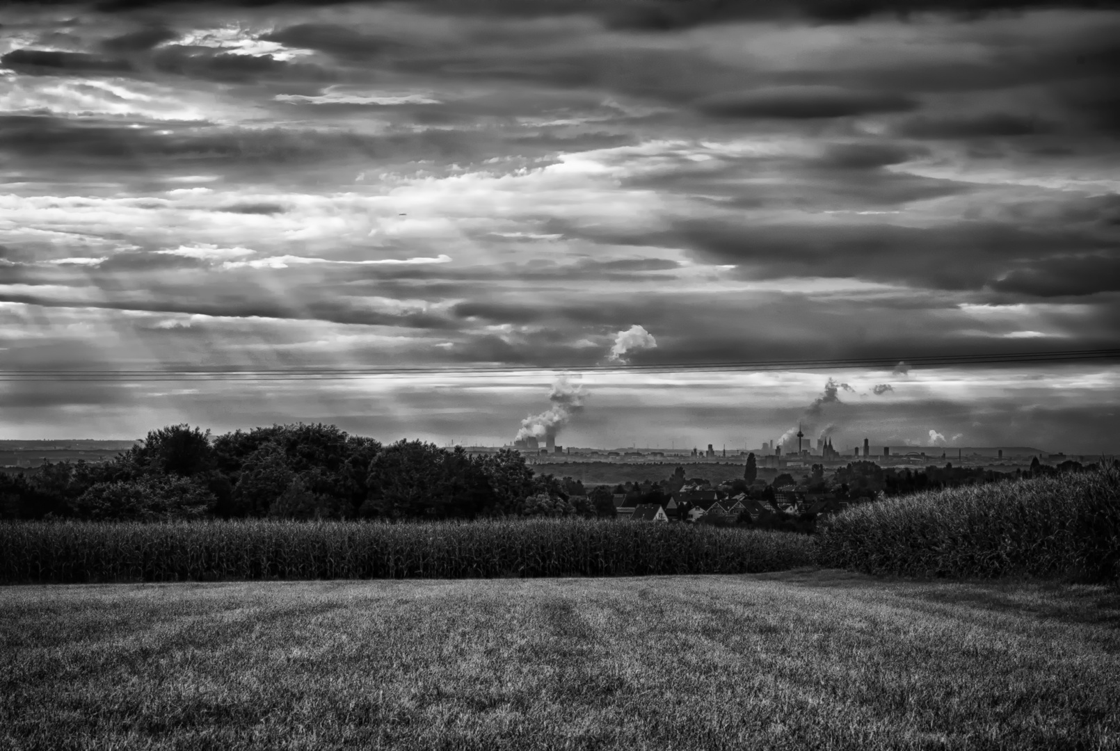 Blick nach Köln