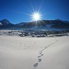 Blick nach Lermoos/Tirol