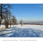 Blick nach Lichtenstein (2)