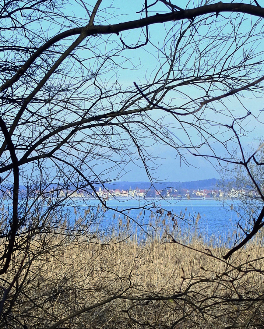 Blick nach Lindau