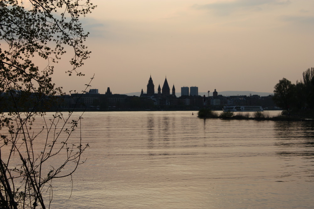 Blick nach Mainz